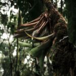 Foto:pexels.com (Lloyd Douglas)