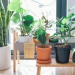 pexels.com foto af Huy Phan