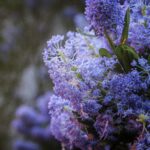 pexels.com foto af David Lock