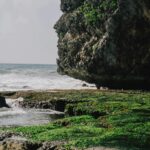 pexels.com foto af Lukman Hakim