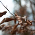 pexels.com foto af Markus Spiske