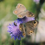 pexels.com foto af Juris Freidenfelds