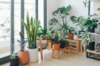 pexels.com foto af Huy Phan