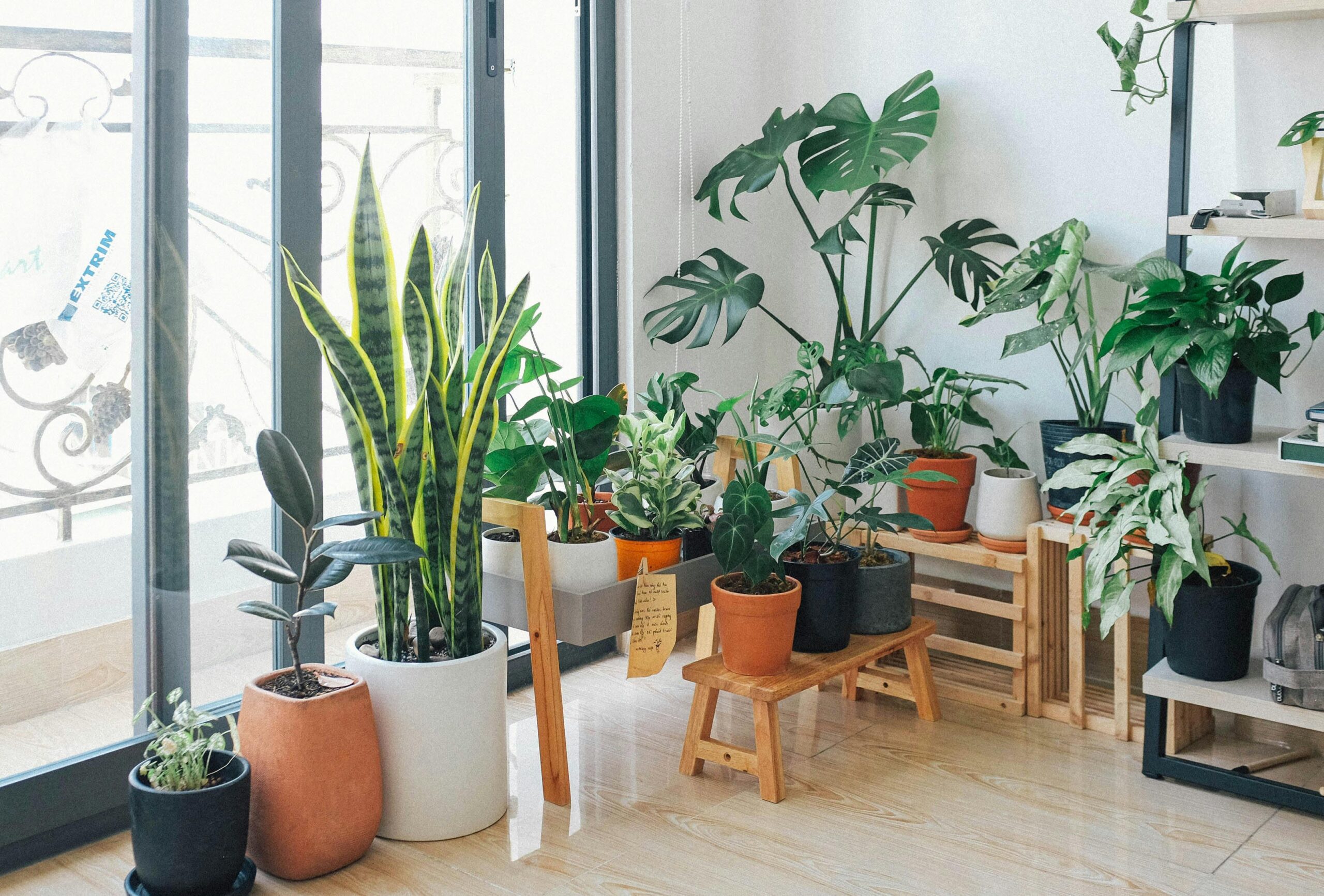 pexels.com foto af Huy Phan