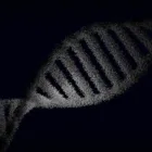 pexels.com foto af Nicola Narracci: Ancient plant genetics