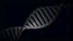 pexels.com foto af Nicola Narracci: Ancient plant genetics