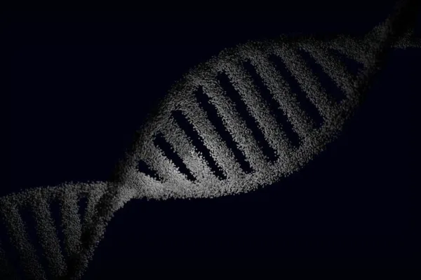 pexels.com foto af Nicola Narracci: Ancient plant genetics