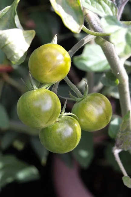 pexels.com foto af Erin Hobbs: Tomato plant leaves