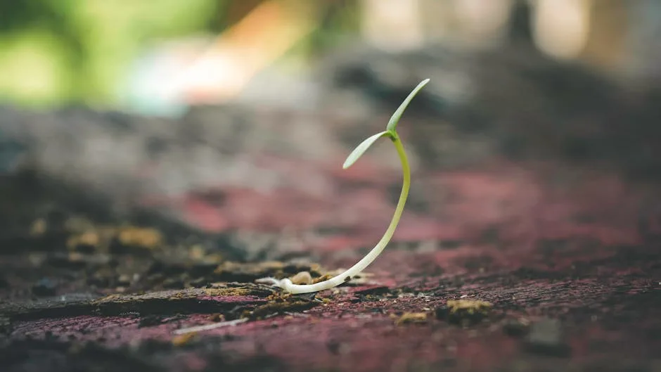 pexels.com foto af Gelgas Airlangga: Spring seeds sprouting