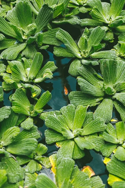 pexels.com foto af Antoni Shkraba Studio: Floating aquatic plant
