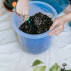 pexels.com foto af Teona Swift: Lunar gardening process
