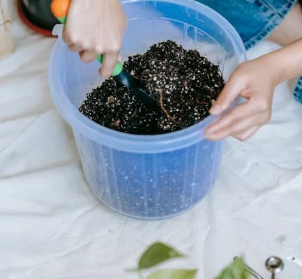 pexels.com foto af Teona Swift: Lunar gardening process