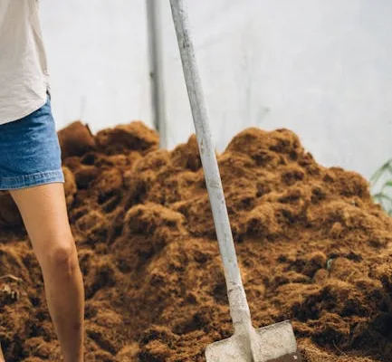 pexels.com foto af Anna Tarazevich: Greenhouse soil preparation