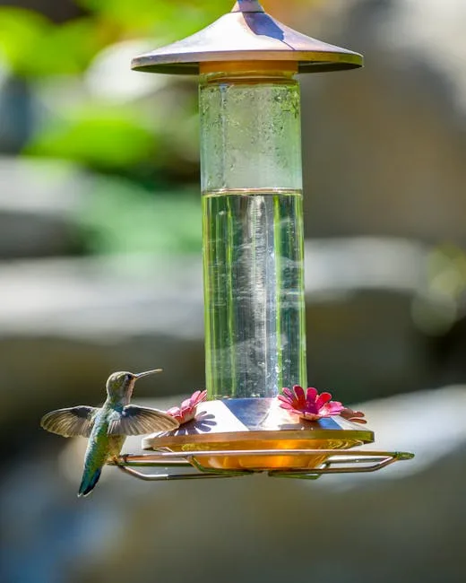 pexels.com foto af Frank Cone: Hummingbird drinking nectar