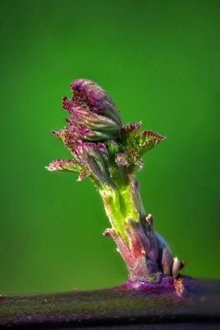 pexels.com foto af DANNIEL CORBIT: Red spring shoots