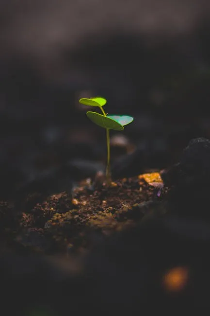 pexels.com foto af Sourabh Narwade: green plant sprout