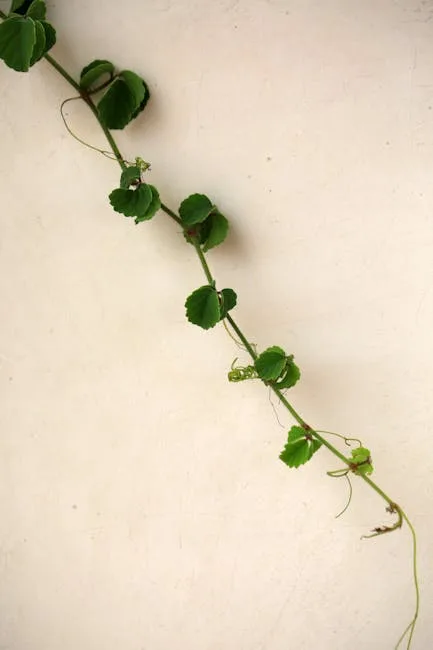 pexels.com foto af Jeffry Surianto: Pea vines climbing