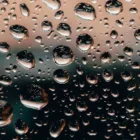 pexels.com foto af Stanislav Kondratiev: Seedling water droplets