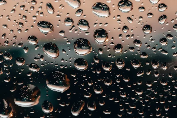 pexels.com foto af Stanislav Kondratiev: Seedling water droplets