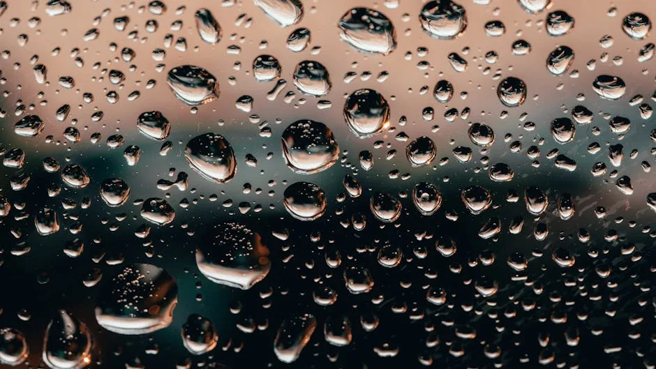 pexels.com foto af Stanislav Kondratiev: Seedling water droplets