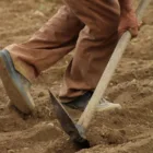 pexels.com foto af UMUT DAĞLI: Biochar soil preparation