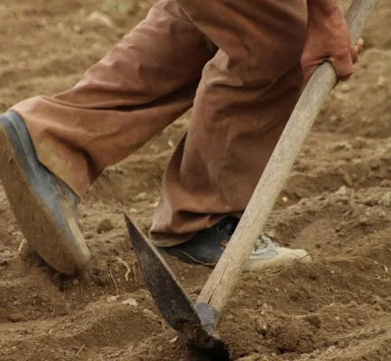 pexels.com foto af UMUT DAĞLI: Biochar soil preparation