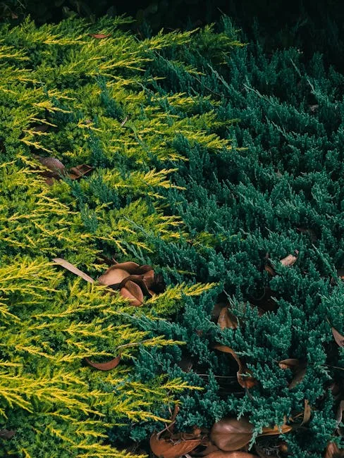 pexels.com foto af Sonny Sixteen: Yellow evergreen leaves