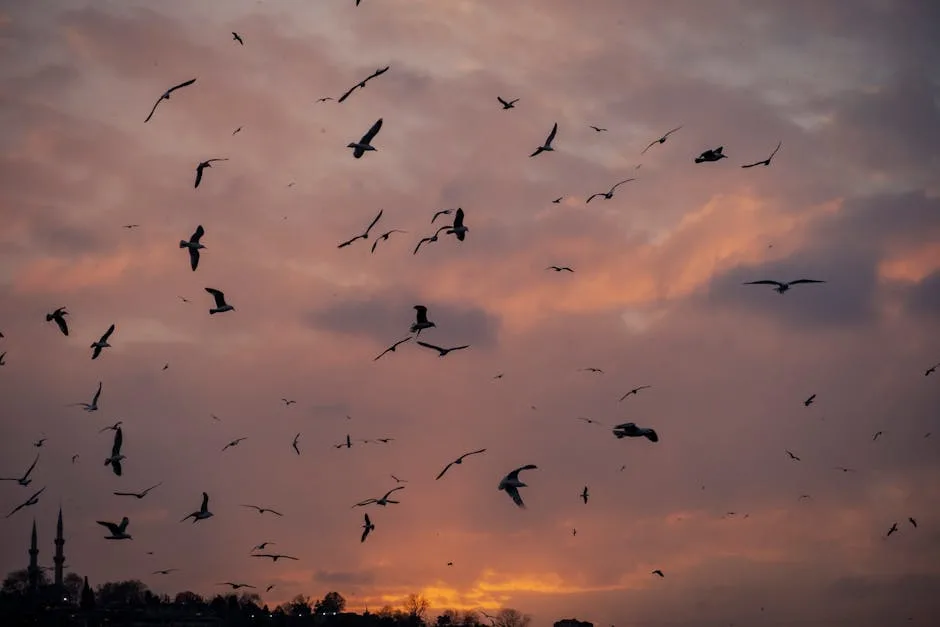 pexels.com foto af Zeynep Sude Emek: Frugtædende fugl skov