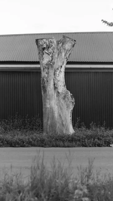 pexels.com foto af Kenzhar Sharap: Beskåret blødende træ