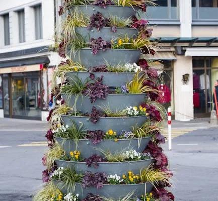 pexels.com foto af Jean-Paul Wettstein: Grønne nyspirede planter