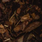 pexels.com foto af Eva Bronzini: Mørk muld kimplanter