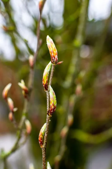 pexels.com foto af Sergej 📸: Blomstrende forårshave spirer