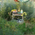 pexels.com foto af Ann H: Varmbænk med kimplanter