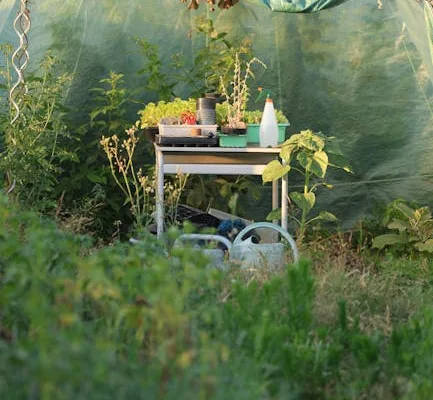 pexels.com foto af Ann H: Varmbænk med kimplanter