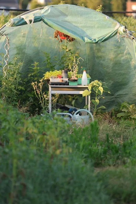 pexels.com foto af Ann H: Varmbænk med kimplanter
