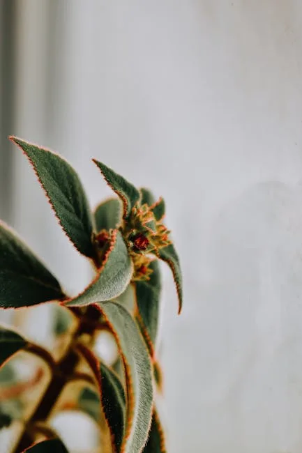 pexels.com foto af Diana ✨: Frossen plante knop
