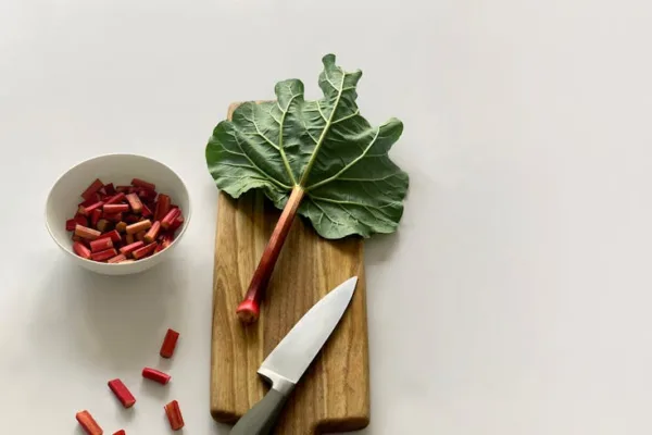 pexels.com foto af Kulbir: Mørklagt rød rabarber