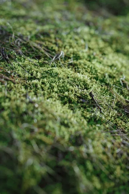 pexels.com foto af Alex Shuper: Grøn mosset græsplæne
