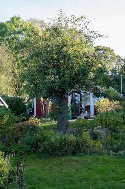 pexels.com foto af Tom Fisk: Tørketålende bæredygtig have