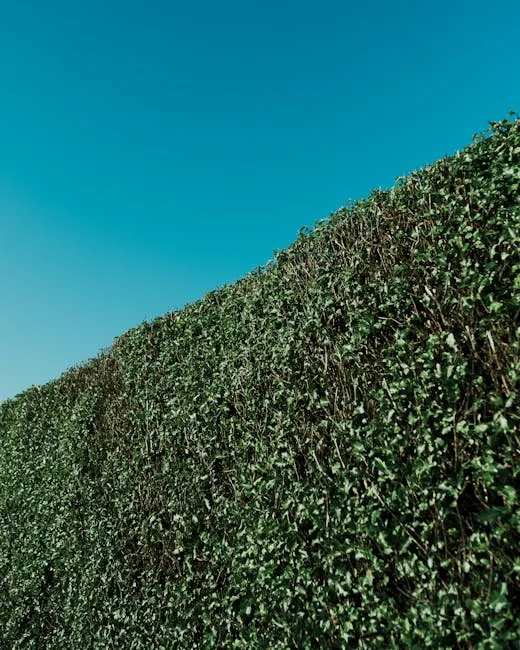 pexels.com foto af Harry Cooke: Tæt klippet bøgehæk