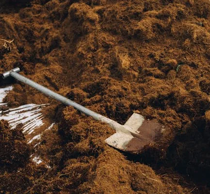 pexels.com foto af Anna Tarazevich: Sammenpresset våd havejord