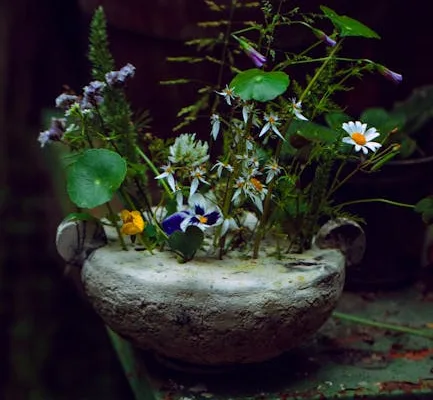 pexels.com foto af TIVASEE .: Lys forstyrrer planter