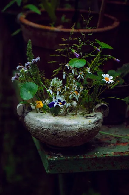pexels.com foto af TIVASEE .: Lys forstyrrer planter