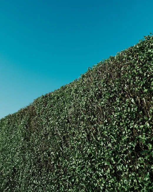 pexels.com foto af Harry Cooke: Grøn hæk beskæring