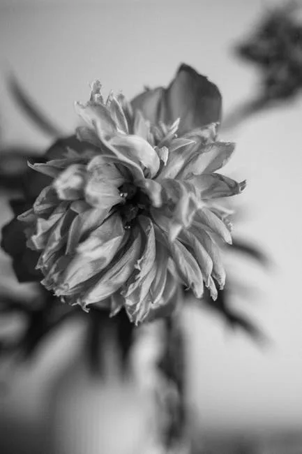 pexels.com foto af Nikita Nikitin: Flad deformeret blomst