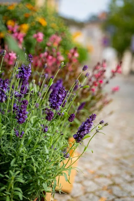 pexels.com foto af Gundula Vogel: Blomstrende overgangsplanter forsommer