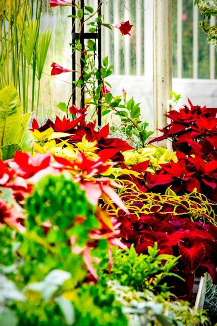 pexels.com foto af O Emmanuel: Farverige botaniske galler
