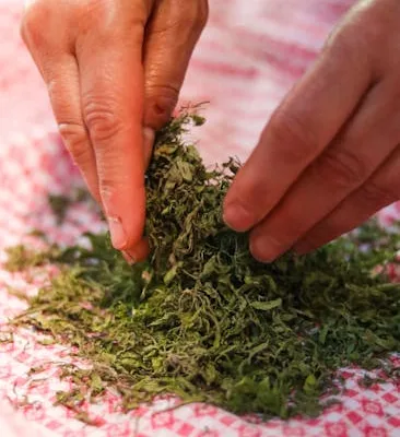 pexels.com foto af Golboo Maghooli: Tørre duftende urter