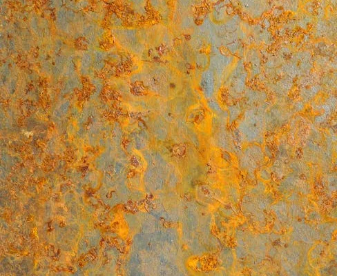 pexels.com foto af Avak Ava: Inficeret pæreblad rust