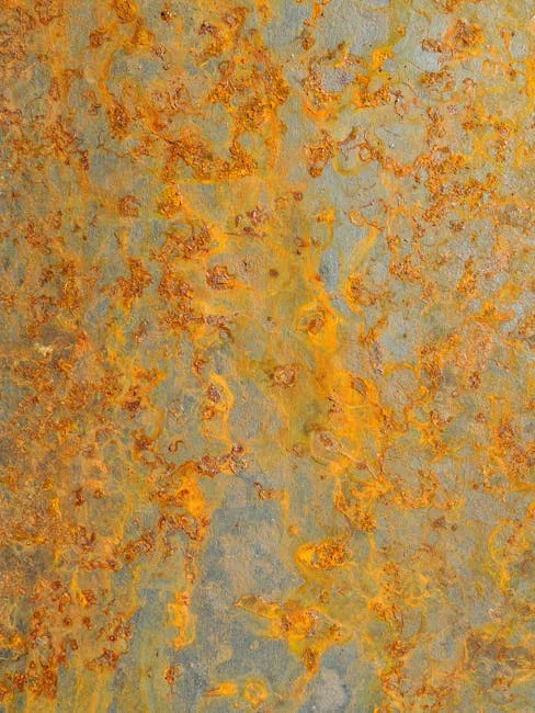 pexels.com foto af Avak Ava: Inficeret pæreblad rust
